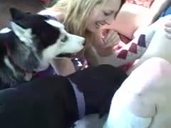A dilettante cougar with no hair opens up to her K9's incredible love button licking.